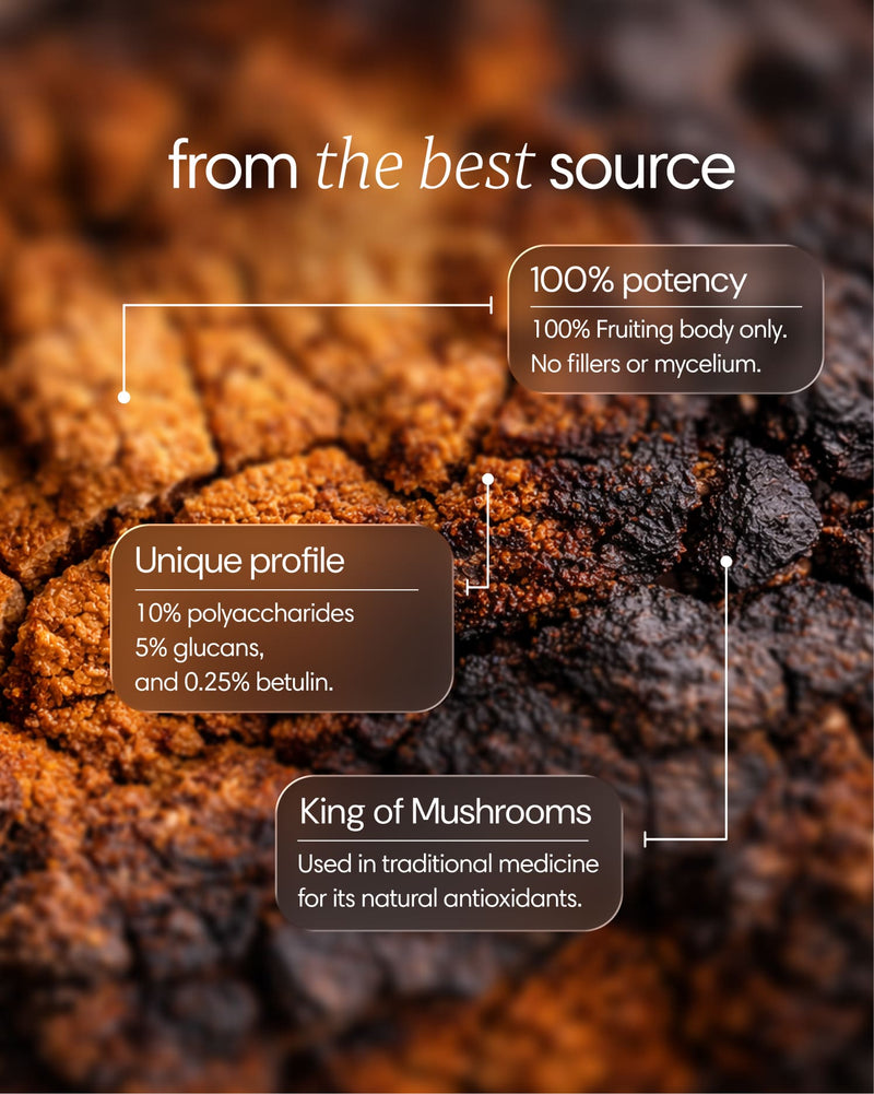 Clearly Chaga capsules showing the supplement container and natural Chaga mushroom ingredients for immune support and health benefits.