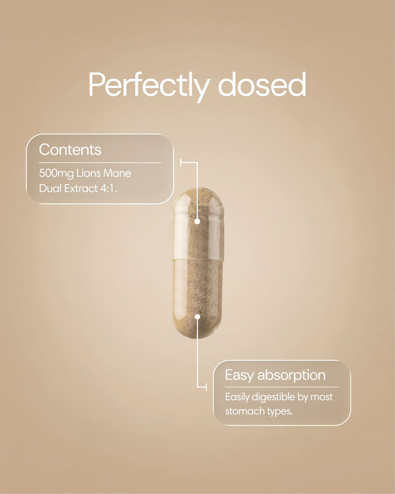 Clearly Lion's Mane capsules in a bottle, showing the dietary supplement's natural mushroom supplement for cognitive support.