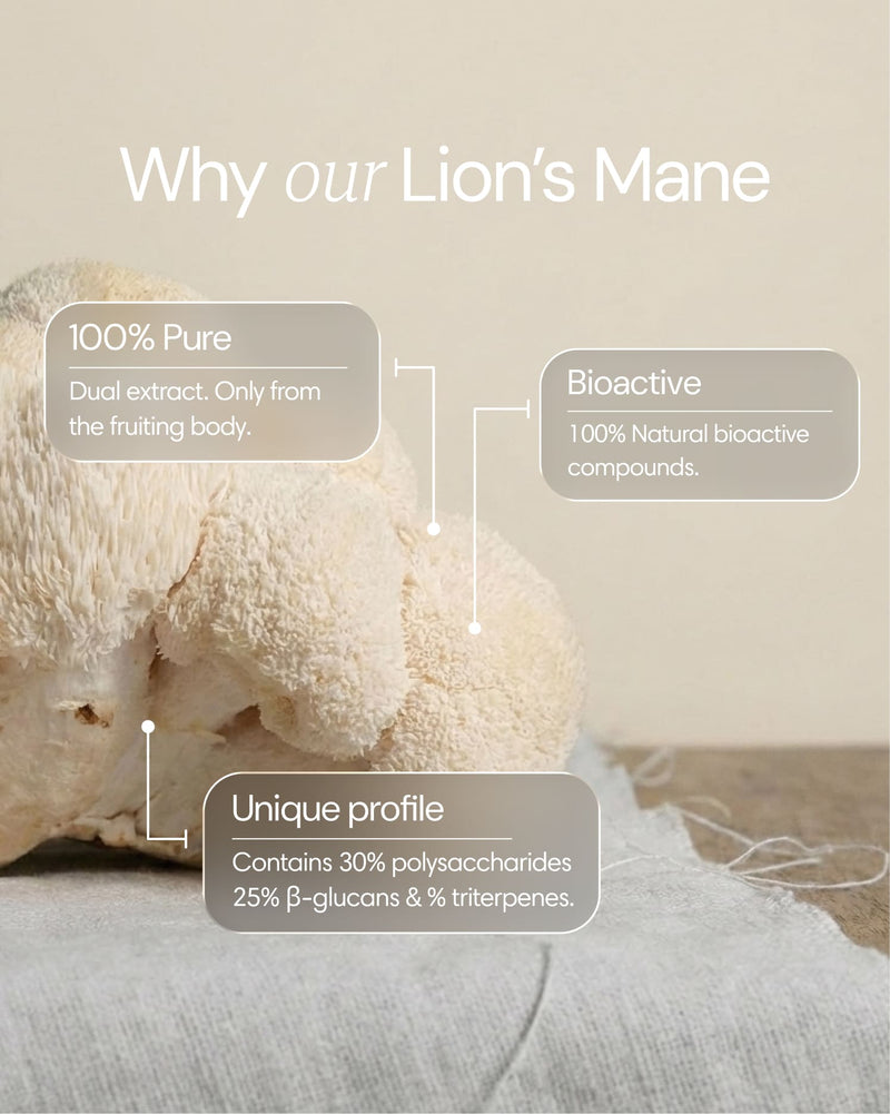 Clearly Lion's Mane capsules, showing the supplement bottle and ingredient benefits on the label.