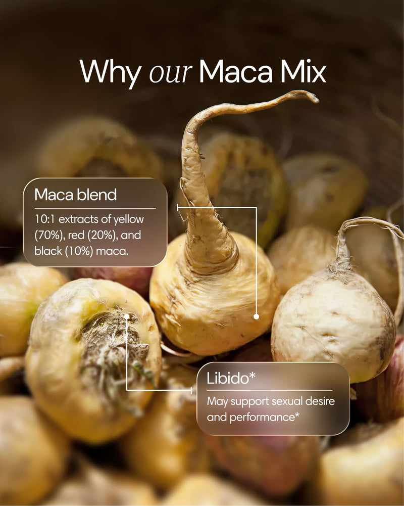Clearly Maca Mix capsules featuring natural maca root ingredients in a clear bottle, showcasing the supplement's herbal capsule form.