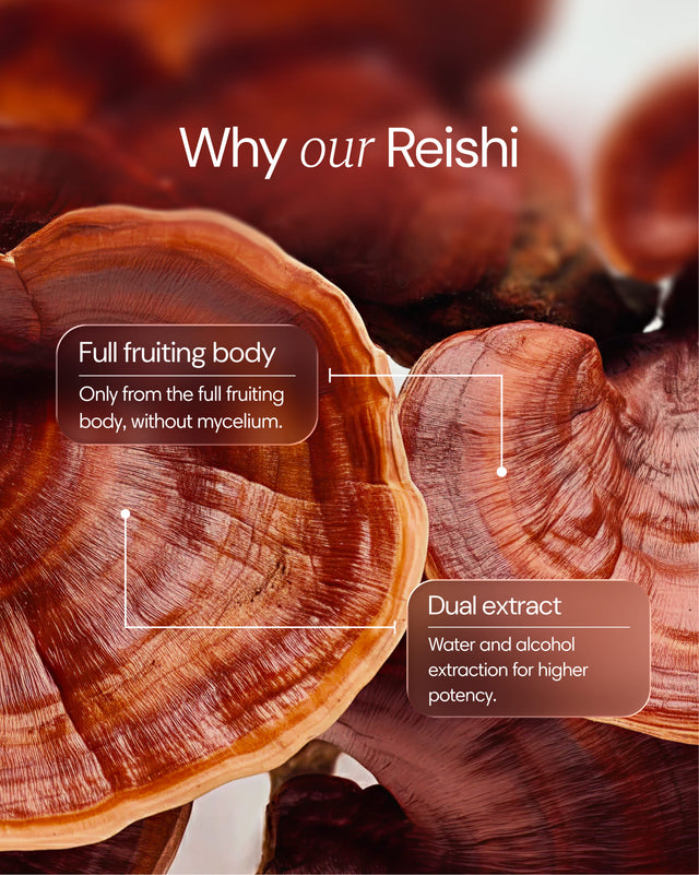 Reishi